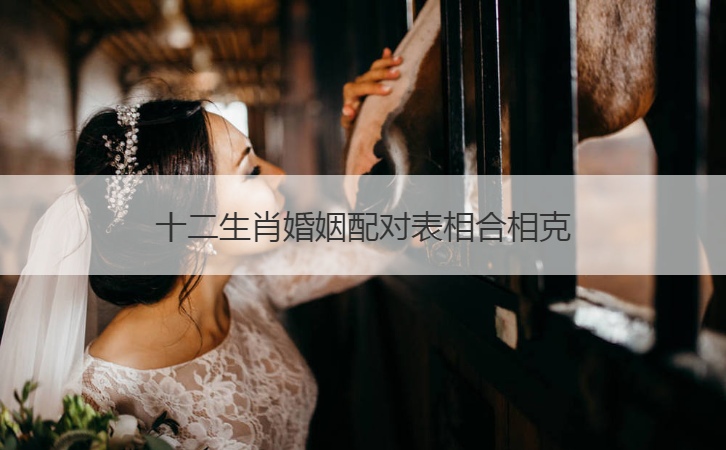 属猴婚姻属相配对查询|十二生肖在婚姻配对图中是相配的。 十二生肖在婚姻图中是相配的。