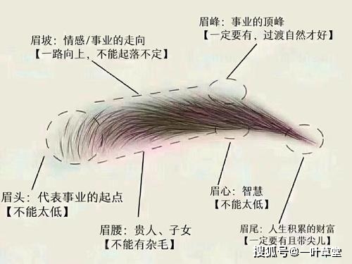 家居风水 女性 男性 为主|常用的眉面风水技巧，可以提高你的读人能力，值得收藏