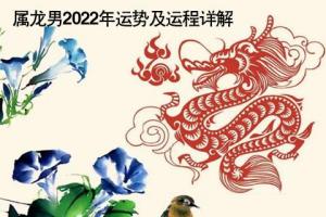 属龙男2024年运势及运程详解2024年属龙人的全年运势男性