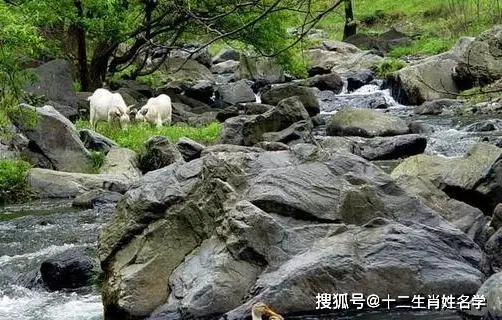 起名风水|掌握十二生肖命名法结合八字命名法，从此你就有好运了！