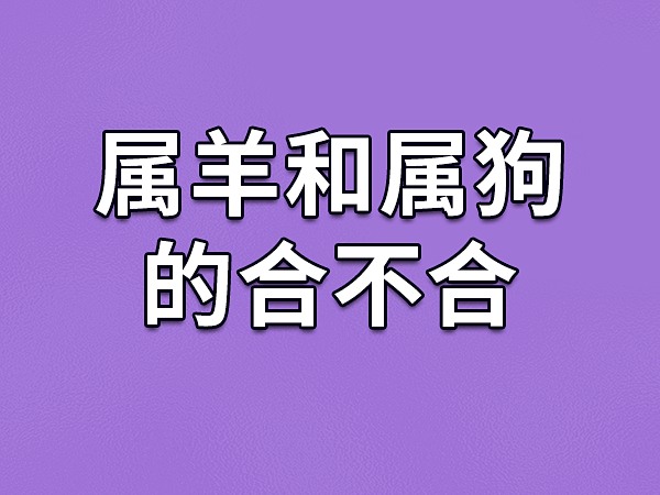 91年属羊男的和什么属相最配|1991年出生的男属羊和1996年出生的女属鼠相配吗？