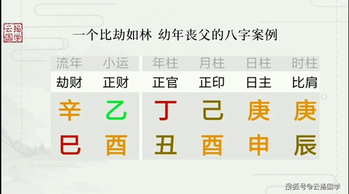 流盘八字怎么看