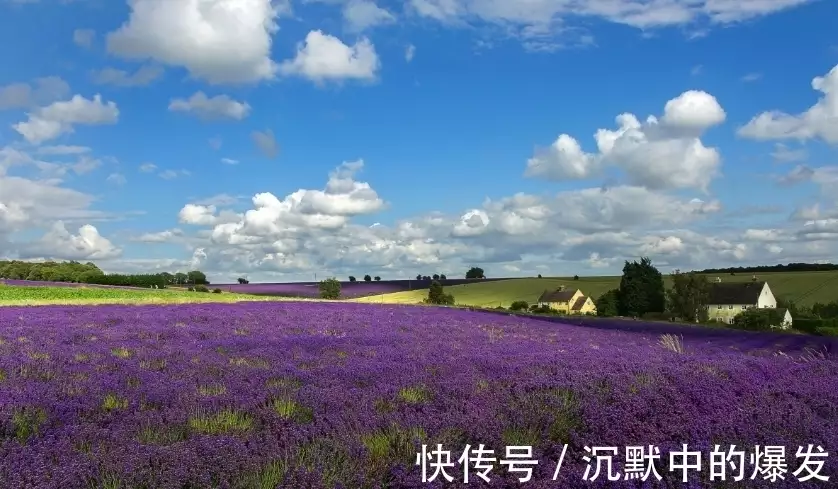 射手座和白羊座的姻缘|白羊座的命中注定的婚姻