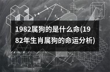 属狗和属鸡化解|狗年出生的人和鸡年出生的人可以一起工作吗？ 如何化解鸡与狗之间的矛盾？