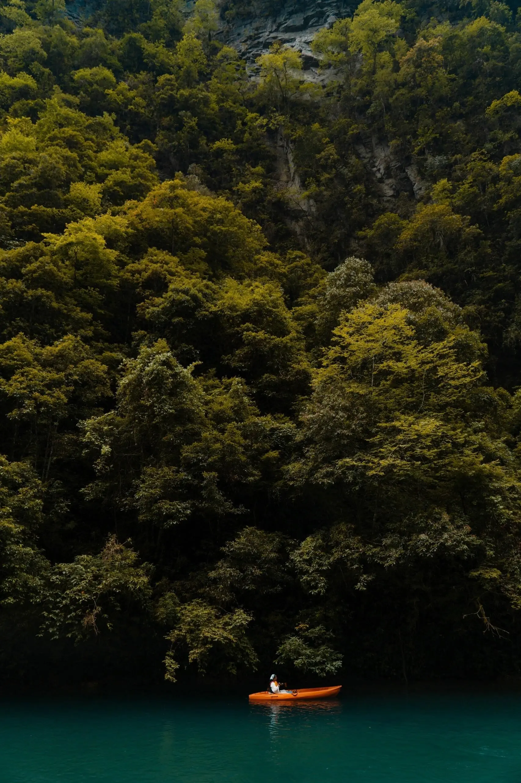 龙 狮子座|揭秘！生肖龙的三大克星，水火不容的星座组合，你中招了吗？