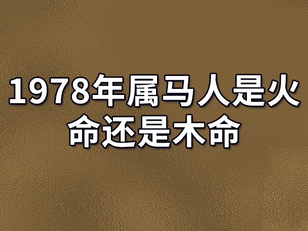 b型血女人的性格特点 B型血女生性格解析