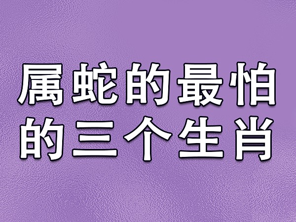 属蛇和属鼠怎么样|生肖鼠：你的人生走向如何，就由这两位“贵人”决定吧！