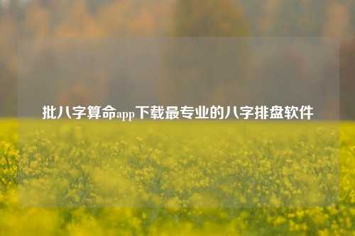 批八字算命app下载最专业的八字排盘软件