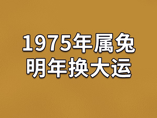 属兔的人今年多大|2024年兔年出生的人几岁？