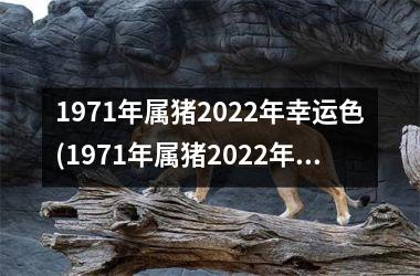 属猪的今天财运方位|猪今年的运势怎么样？2022年猪的运势