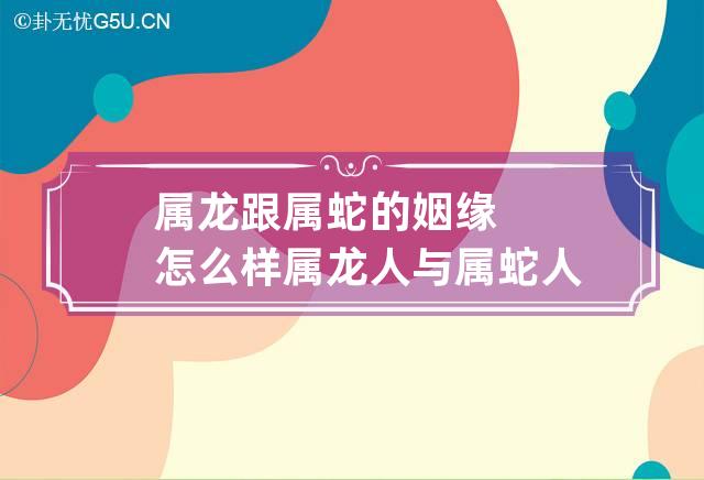 女属龙男属蛇婚姻合吗|属龙的女人和属蛇的男人结婚合适吗？