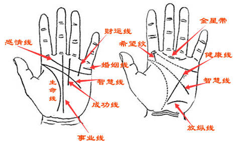 男人手相大全图解