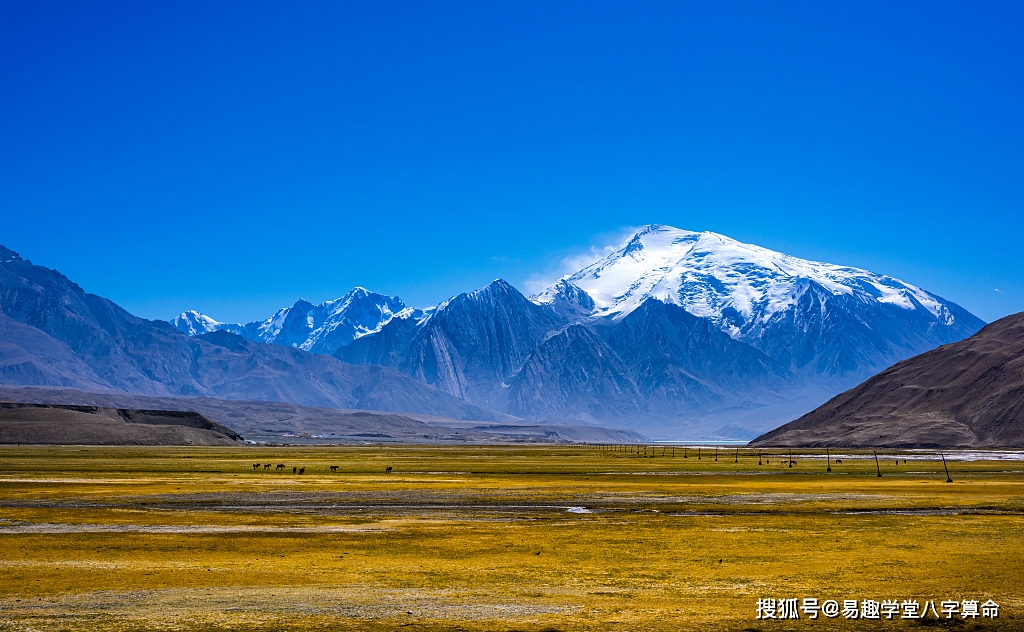 财运旺的八字_八字财运旺就一定发财么_八字财运旺衰怎么看