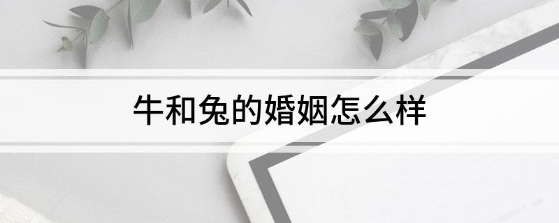 属牛和属兔的婚姻|牛与兔的婚姻运怎么样？