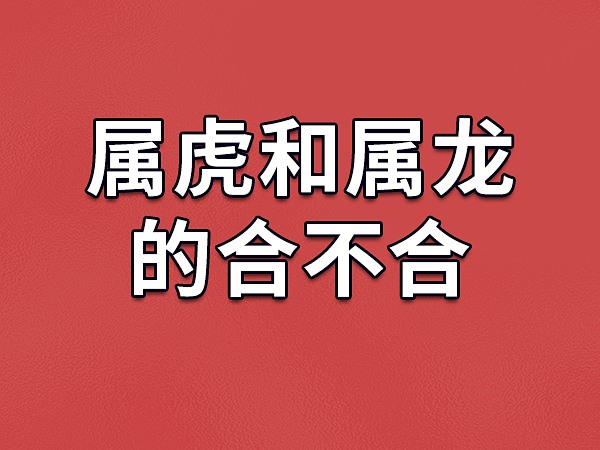 属蛇和属虎的合财吗|虎和龙兄弟相配吗？ 虎和龙兄弟相配吗？