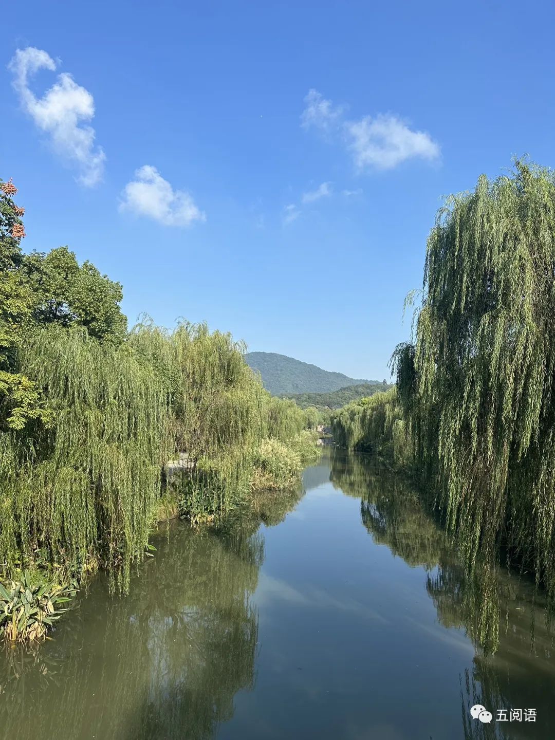 属鸡的办公室风水|12个星座中每个星座的风水禁忌