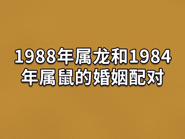 84年属鼠男人暗恋一个人的表现|属鼠男人喜欢你的迹象