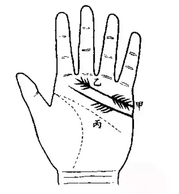 手相感情线|手相：从5个方面看爱情线看婚姻方向