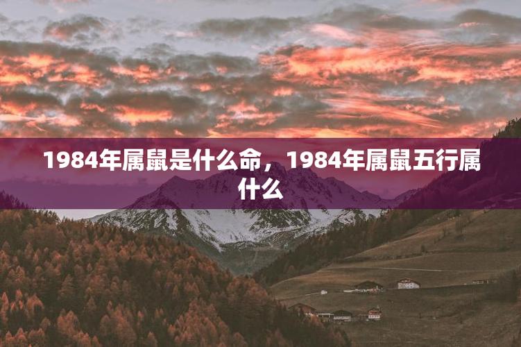 1984属鼠人2024年运势|1984年出生的鼠年是爱情运势最好的年份，那么2024年至2025年之间的鼠年生肖佛代表什么呢？