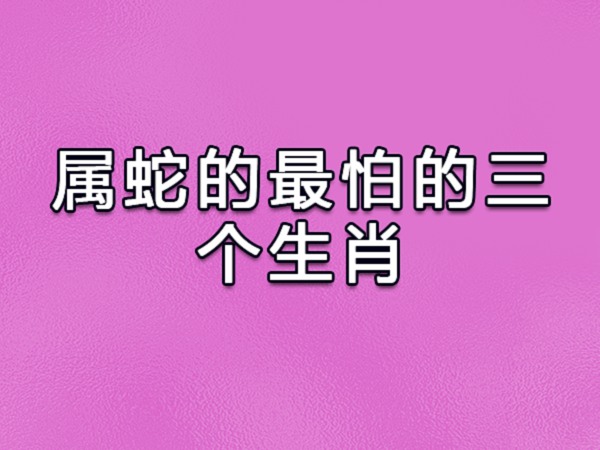 属蛇相冲的属相是什么|属蛇的生肖与什么生肖相冲？