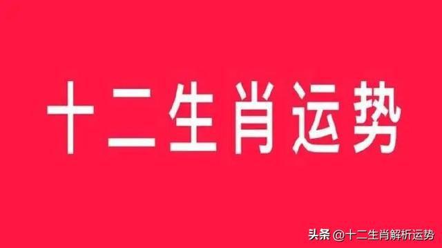 属猪今日运势|生肖猪、狗、猴、鸡明日运势8月29日星期四工作爱情运势旺