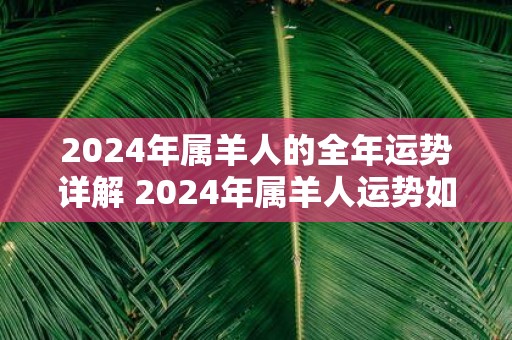 羊在2024年运势是达到顶峰_生肖羊2024年运势详解_2024羊年本命年运势