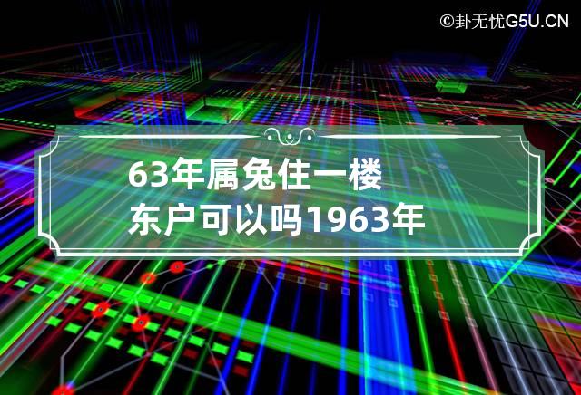 属兔的人适合住东户还是西户|兔子的最佳居住楼层和风水位置