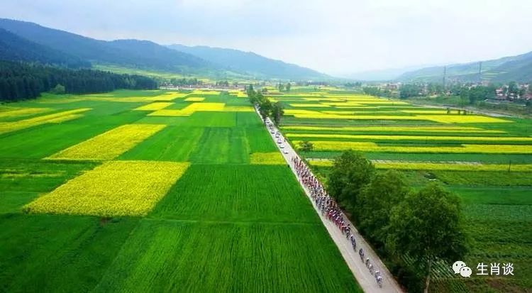 婚姻配对属相兔和龙|这两个星座是最适合结婚的，嫁对了人，钱就赚大了。