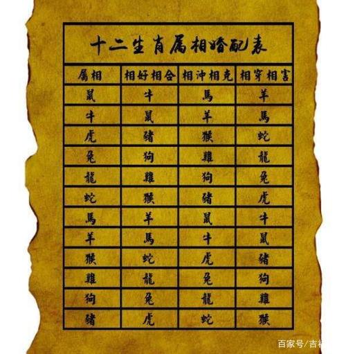 1981属相|1981年出生的人属于什么十二生肖？