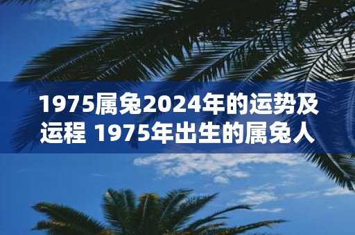 1975年属兔人的运程|这