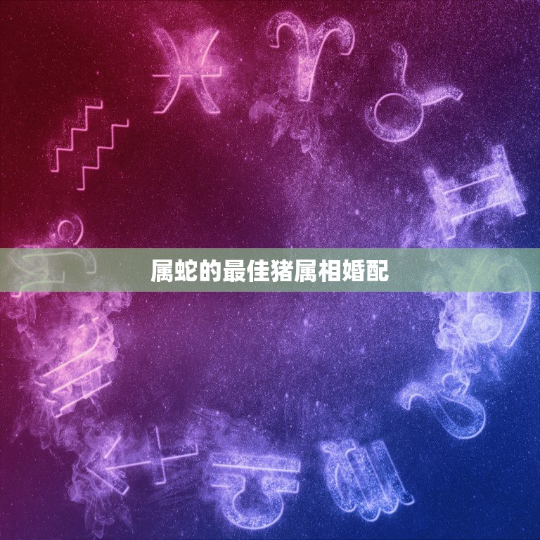 生肖配对属蛇的和什么属相最配|什么样的蛇好