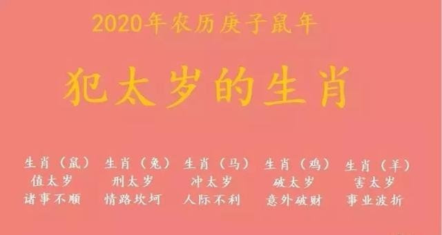 属牛与属鸡|鸡和蛇之间出生的宝宝最适合什么生肖？鸡和蛇之间出生的男孩最适合什么生肖？