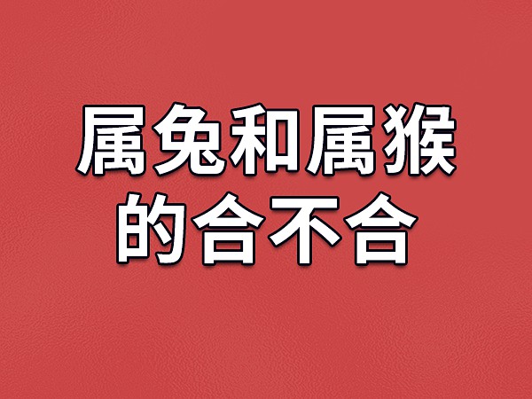 85年属牛和87年属兔配|兼容性和不兼容性：1987 年属兔的女人和 1980 年属猴的男人兼容吗？