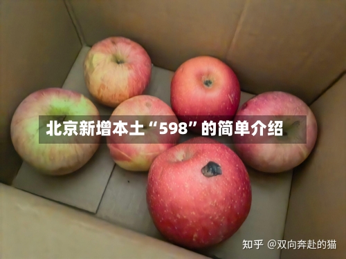 北京新增本土“598”的简单介绍-第2张图片