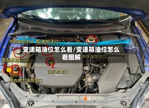 变速箱油位怎么看/变速箱油位怎么看图解-第3张图片