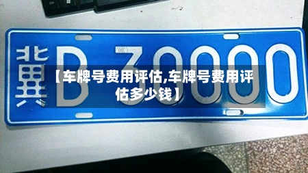 【车牌号费用评估,车牌号费用评估多少钱】-第2张图片
