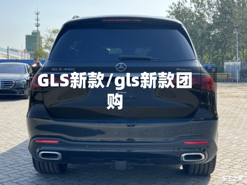 GLS新款/gls新款团购-第2张图片