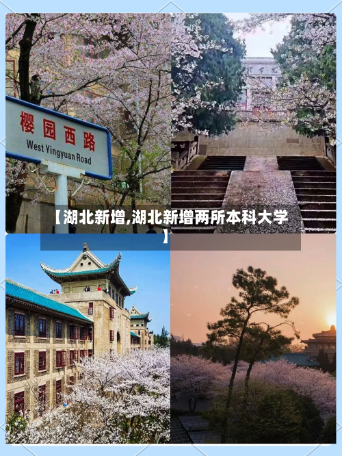 【湖北新增,湖北新增两所本科大学】