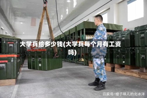 大学兵给多少钱(大学兵每个月有工资吗)