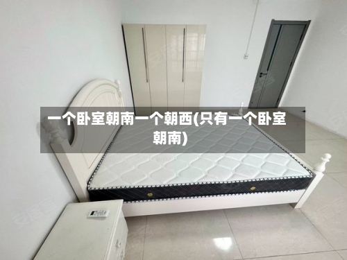 一个卧室朝南一个朝西(只有一个卧室朝南)-第2张图片
