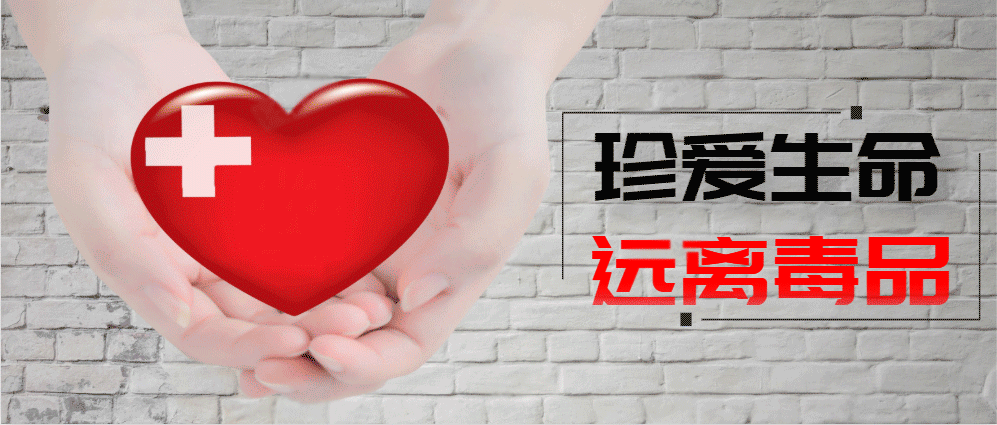 新型冠状病毒疫情通报/新型冠状病毒感染的肺炎疫情动态-第3张图片