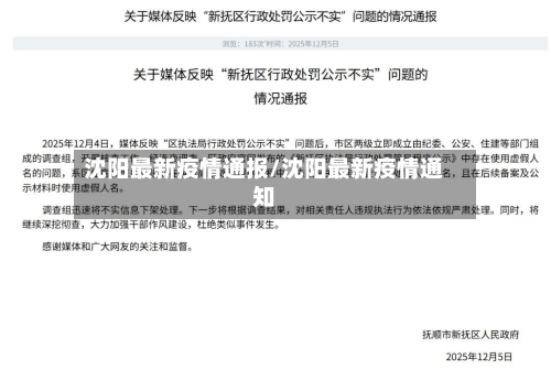 沈阳最新疫情通报/沈阳最新疫情通知-第2张图片
