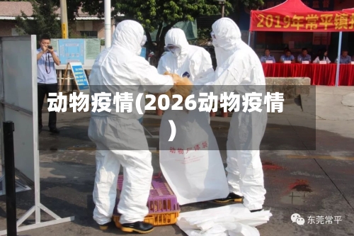 动物疫情(2026动物疫情)