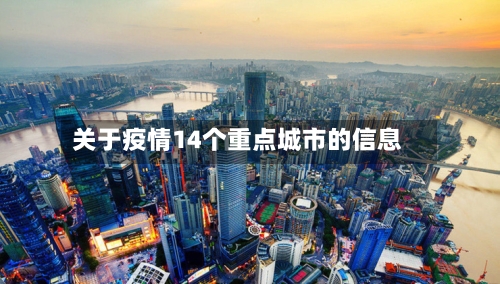 关于疫情14个重点城市的信息-第2张图片