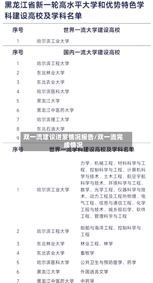 双一流建设进展情况报告/双一流完成情况