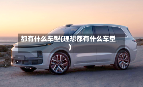 都有什么车型(理想都有什么车型)-第2张图片