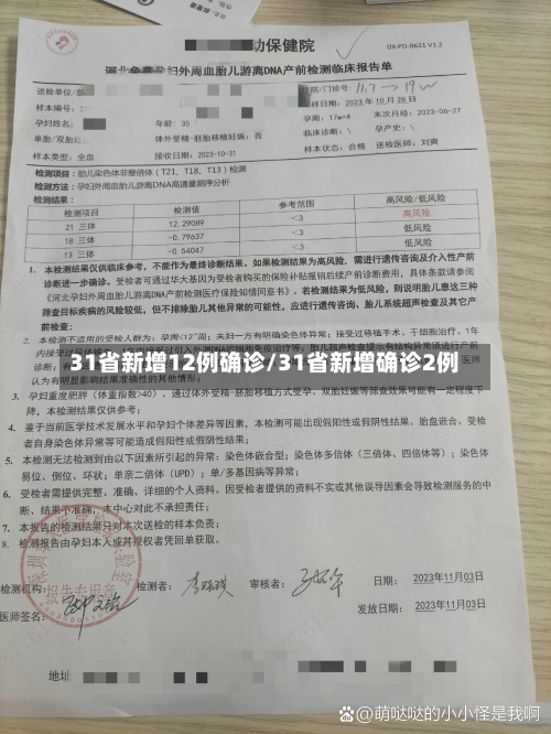 31省新增12例确诊/31省新增确诊2例