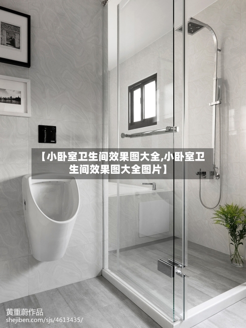 【小卧室卫生间效果图大全,小卧室卫生间效果图大全图片】