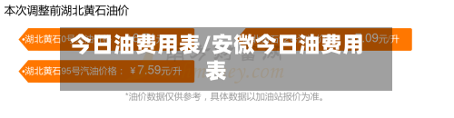 今日油费用表/安微今日油费用表-第2张图片