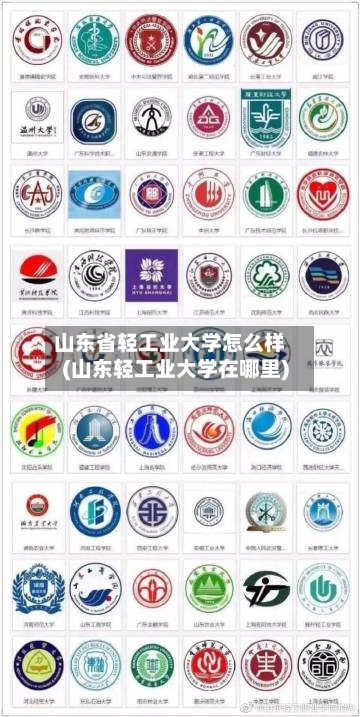 山东省轻工业大学怎么样(山东轻工业大学在哪里)-第3张图片